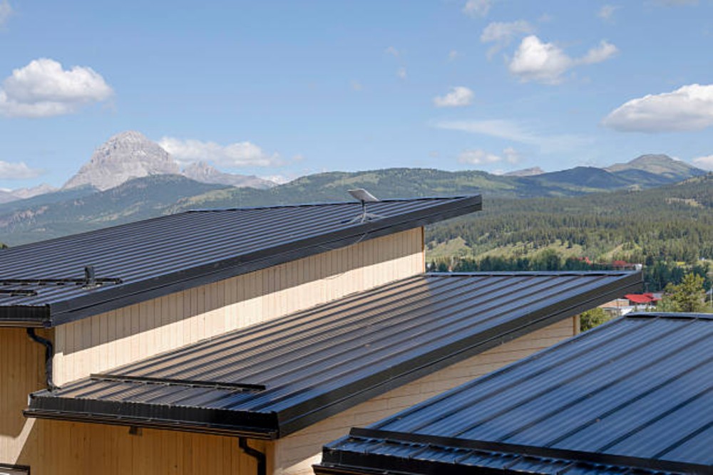 Metal Roofing