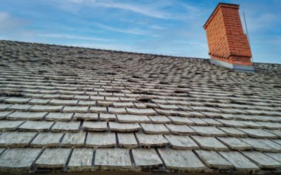 How to Tell If Your Shingle Roof Needs Replacement