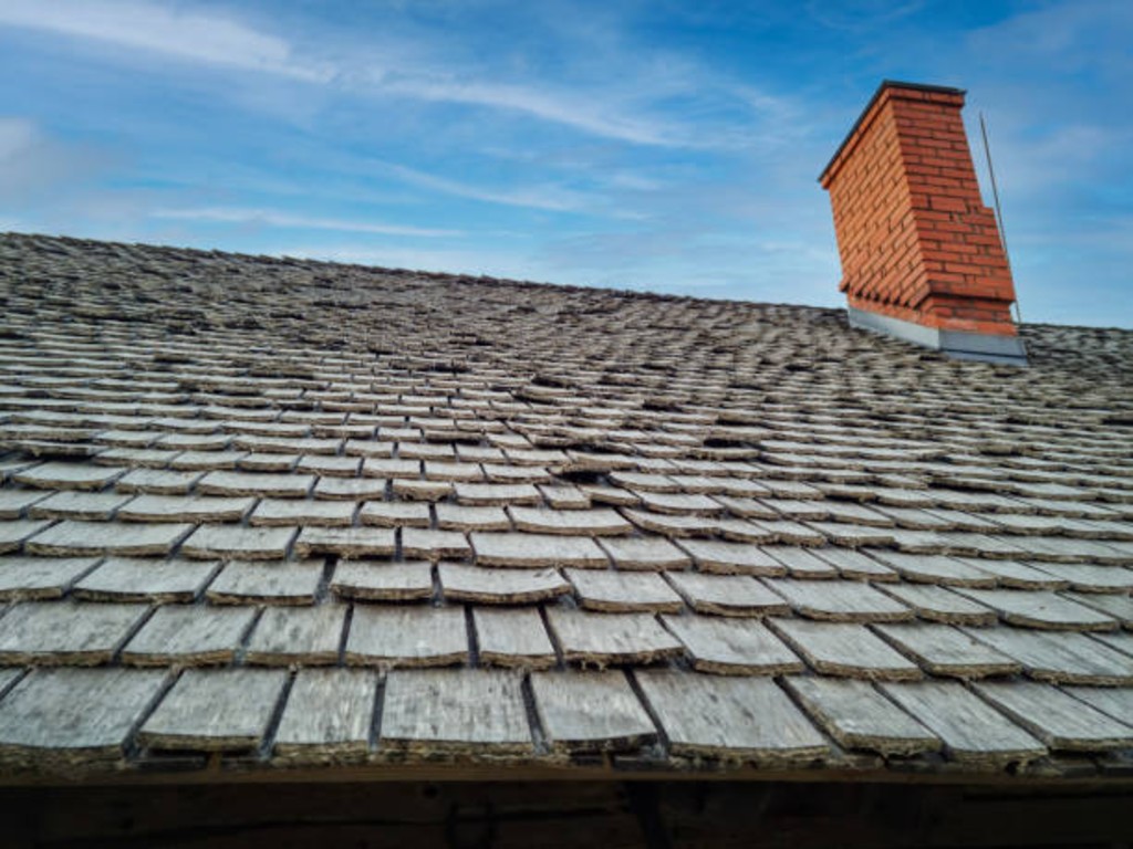 Shingle Roof